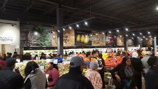 h11.jpg